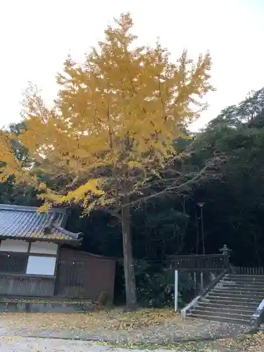 熊野三所神社の自然