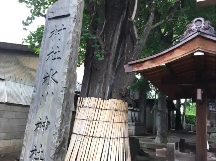 蓮沼氷川神社のその他建物