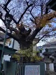 二宮神社(兵庫県)