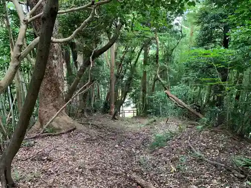 神社（名称不明）の自然