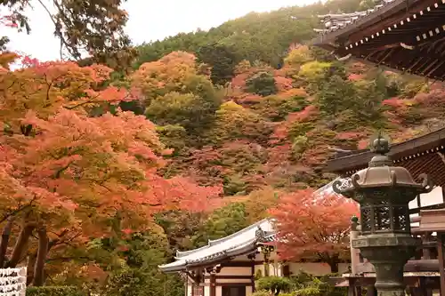 善峯寺(京都府)