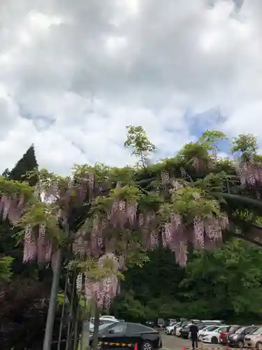 和気神社の自然