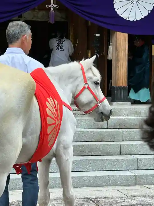 丹生川上神社(上社)(奈良県)