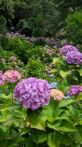 善峯寺(京都府)
