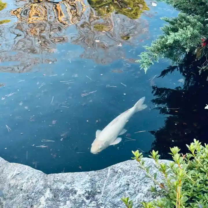 蓮花院(埼玉県)