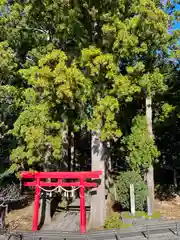 須山浅間神社の鳥居