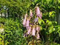 生石神社の自然