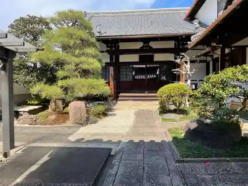 専徳寺(京都府)