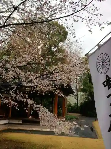 阿佐ヶ谷神明宮(東京都)