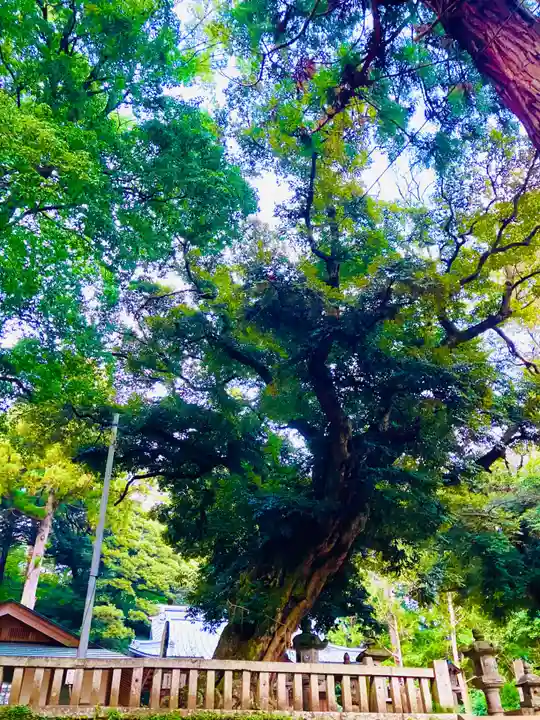 雨引千勝神社(茨城県)