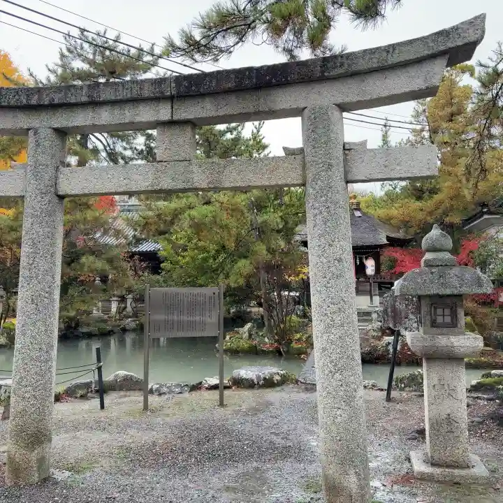 長浜八幡宮(滋賀県)