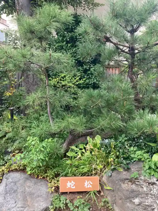 蛇窪神社(東京都)