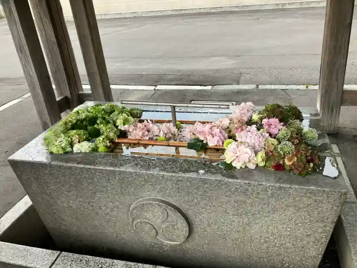亀田八幡宮(北海道)