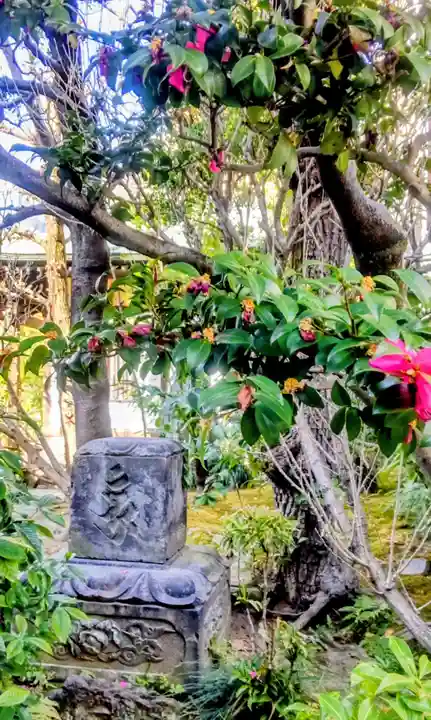 成就院(東京都)