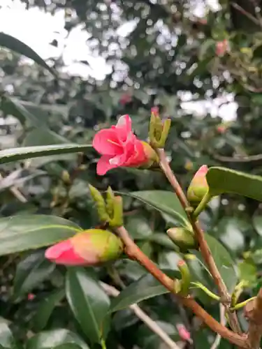 城南宮(京都府)