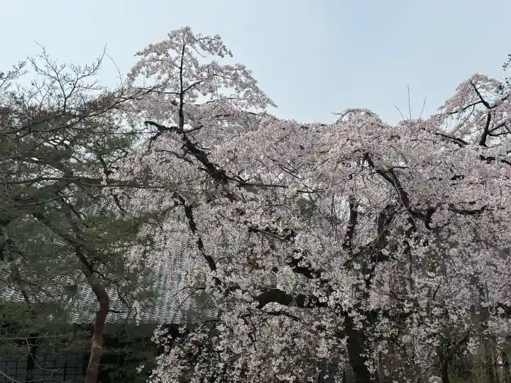 中院の{uncategorized: "未分類", other: "その他", undefined: "問題あり", building: "その他建物", grave: "お墓", sacred_gate: "鳥居", guardian: "狛犬", statue: "像", buddha: "仏像", history: "歴史", nature: "自然", garden: "庭園", animal: "動物", pagoda: "塔", temizu: "手水舎", mountain_gate: "山門・神門", sanctuary: "本殿・本堂", subordinate: "末社・摂社", art: "芸術", scenery: "景色", jizo: "地蔵", ema: "絵馬", goshuin: "御朱印", omikuji: "おみくじ", items: "授与品その他", amulet: "お守り", goshuincho: "御朱印帳", eats: "食事", festival: "お祭り", votive_dance: "神楽", shichigosan: "七五三参", wedding: "結婚式", experience: "体験その他", initially: "初詣", around: "周辺", anti_infection: "感染症対策"}