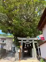 奈良尾神社(長崎県)