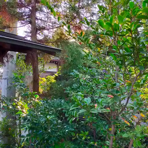 御霊神社の自然