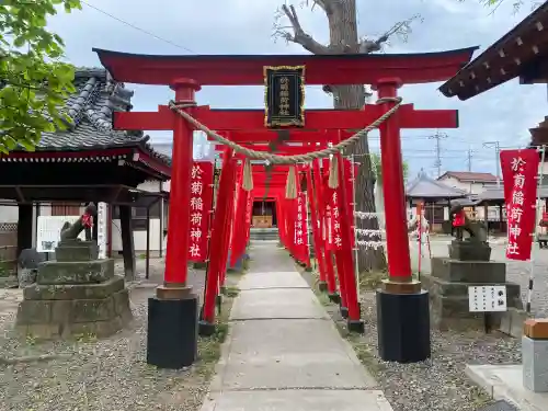 於菊稲荷神社(群馬県)