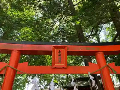 永福稲荷神社の{uncategorized: "未分類", other: "その他", undefined: "問題あり", building: "その他建物", grave: "お墓", sacred_gate: "鳥居", guardian: "狛犬", statue: "像", buddha: "仏像", history: "歴史", nature: "自然", garden: "庭園", animal: "動物", pagoda: "塔", temizu: "手水舎", mountain_gate: "山門・神門", sanctuary: "本殿・本堂", subordinate: "末社・摂社", art: "芸術", scenery: "景色", jizo: "地蔵", ema: "絵馬", goshuin: "御朱印", omikuji: "おみくじ", items: "授与品その他", amulet: "お守り", goshuincho: "御朱印帳", eats: "食事", festival: "お祭り", votive_dance: "神楽", shichigosan: "七五三参", wedding: "結婚式", experience: "体験その他", initially: "初詣", around: "周辺", anti_infection: "感染症対策"}