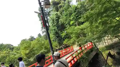 伏見稲荷大社(京都府)