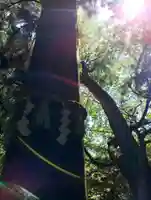 高尾山薬王院のその他建物