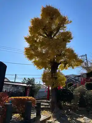 勝國寺(神奈川県)