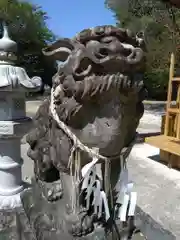 河内阿蘇神社の狛犬