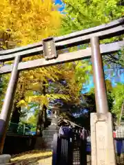 諏訪神社(東京都)