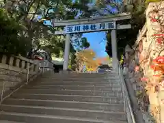 玉川神社(東京都)