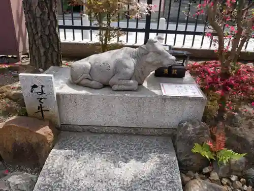 六波羅蜜寺の狛犬