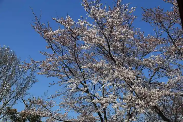 大鏑神社の周辺