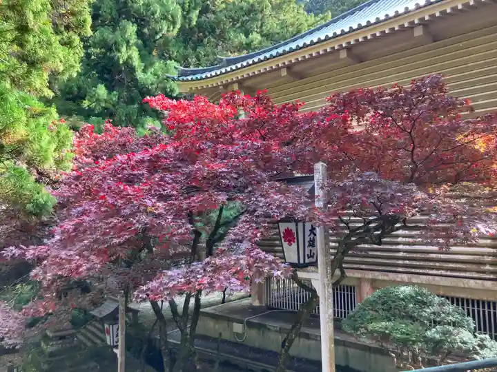 最乗寺(道了尊)(神奈川県)