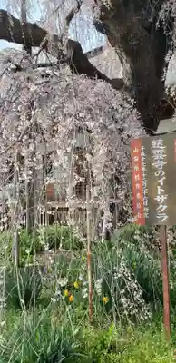 慈雲寺の自然