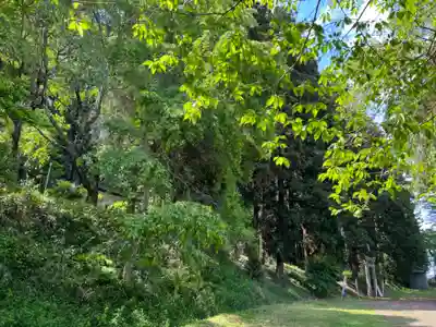 大宮温泉神社(栃木県)