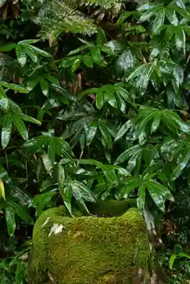 比婆山久米神社(島根県)