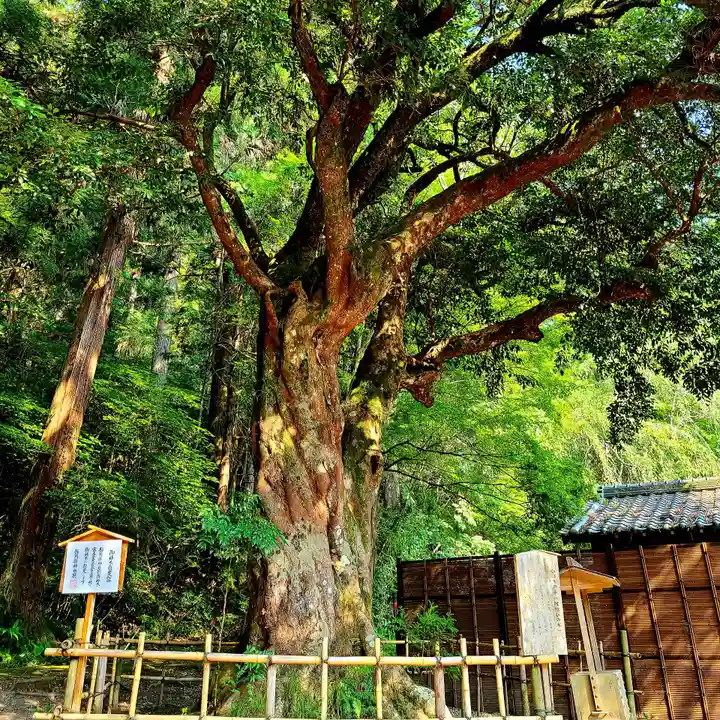小國神社(静岡県)