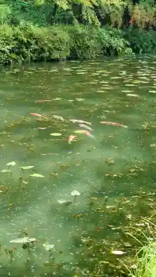 根道神社(岐阜県)