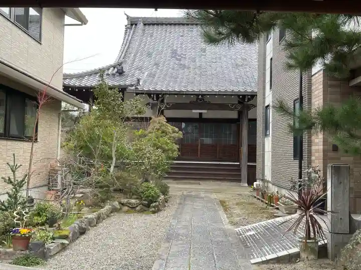 善性寺の{uncategorized: "未分類", other: "その他", undefined: "問題あり", building: "その他建物", grave: "お墓", sacred_gate: "鳥居", guardian: "狛犬", statue: "像", buddha: "仏像", history: "歴史", nature: "自然", garden: "庭園", animal: "動物", pagoda: "塔", temizu: "手水舎", mountain_gate: "山門・神門", sanctuary: "本殿・本堂", subordinate: "末社・摂社", art: "芸術", scenery: "景色", jizo: "地蔵", ema: "絵馬", goshuin: "御朱印", omikuji: "おみくじ", items: "授与品その他", amulet: "お守り", goshuincho: "御朱印帳", eats: "食事", festival: "お祭り", votive_dance: "神楽", shichigosan: "七五三参", wedding: "結婚式", experience: "体験その他", initially: "初詣", around: "周辺", anti_infection: "感染症対策"}
