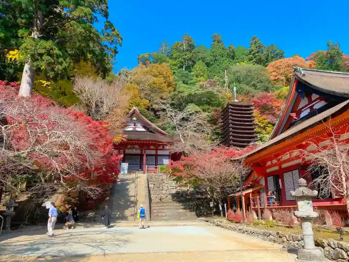 談山神社(奈良県)
