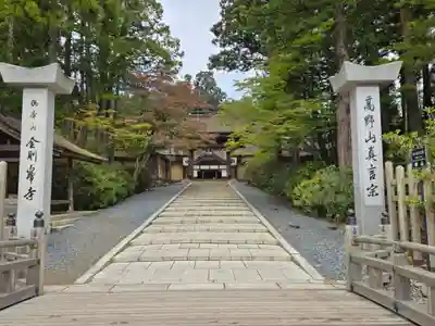 高野山金剛峯寺(和歌山県)