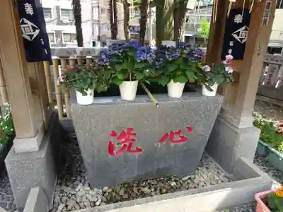 高円寺氷川神社の手水舎