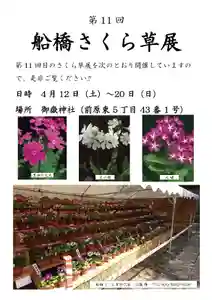 恒例の「船橋さくら草展」が本年も前原御嶽神社の境内で開催されます。
期間は4月12日から20日です。
桜の花見も兼ねて是非参拝いただき、豊かな時間をお過ごしください。