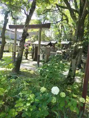 若宮神明社(愛知県)