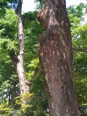 大國魂神社(東京都)