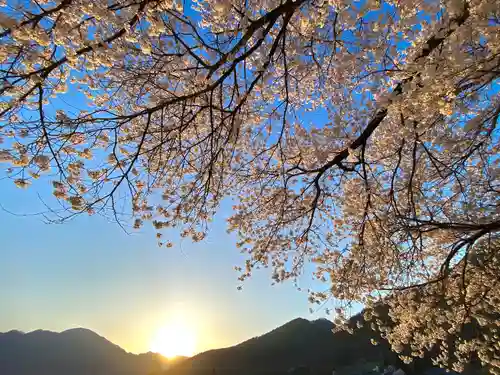 天神宮(伝河原氏屋敷跡)の自然