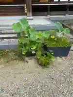 正法寺(栃木県)