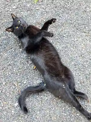 高司神社〜むすびの神の鎮まる社〜(福島県)