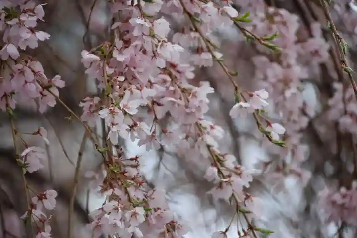 愛宕神社(福島県)