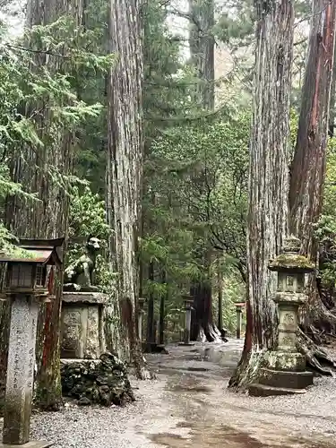 三峯神社(埼玉県)